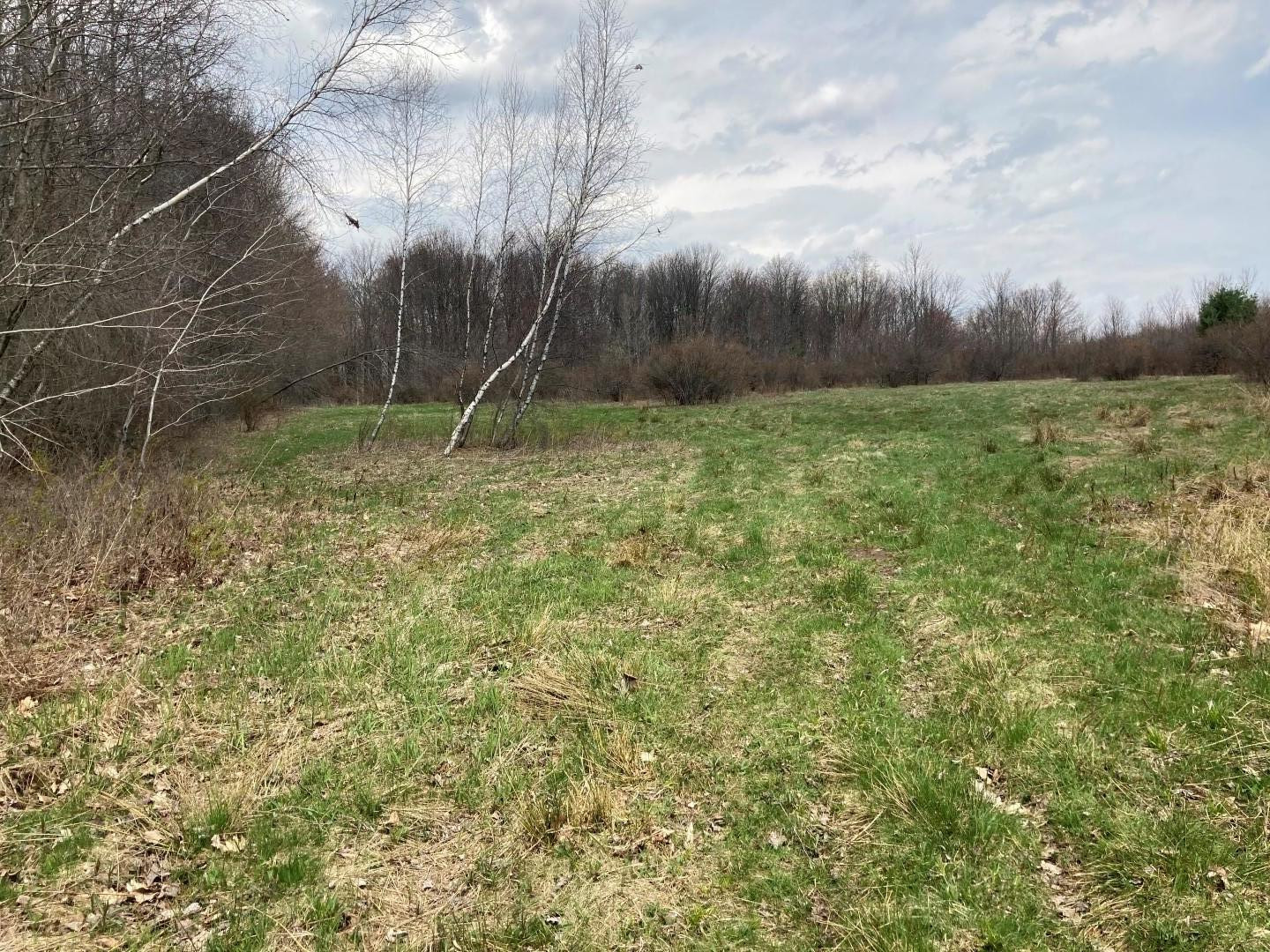 Hathaway Road Equinunk, PA 18417 - Photo 2 of 10 2