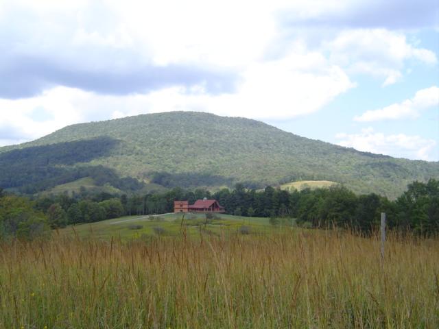 2 Dry Branch Road Slatyfork, WV 26291 - Photo 2 of 36 what a setting!
