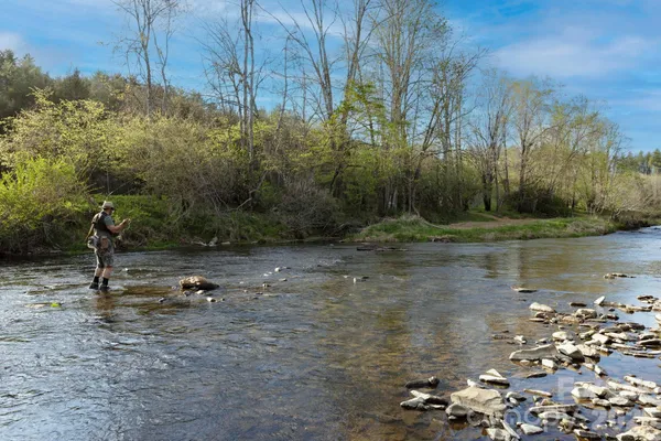$950,000 | 8186 Highway 183, Newland, NC 28657
