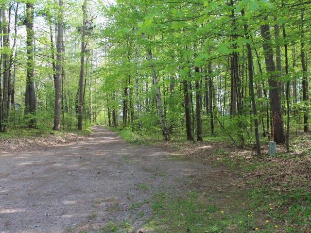 6300 Camp Rice Point Road Tomahawk, WI 54487 - Photo 10 of 20 Gallery Image 10