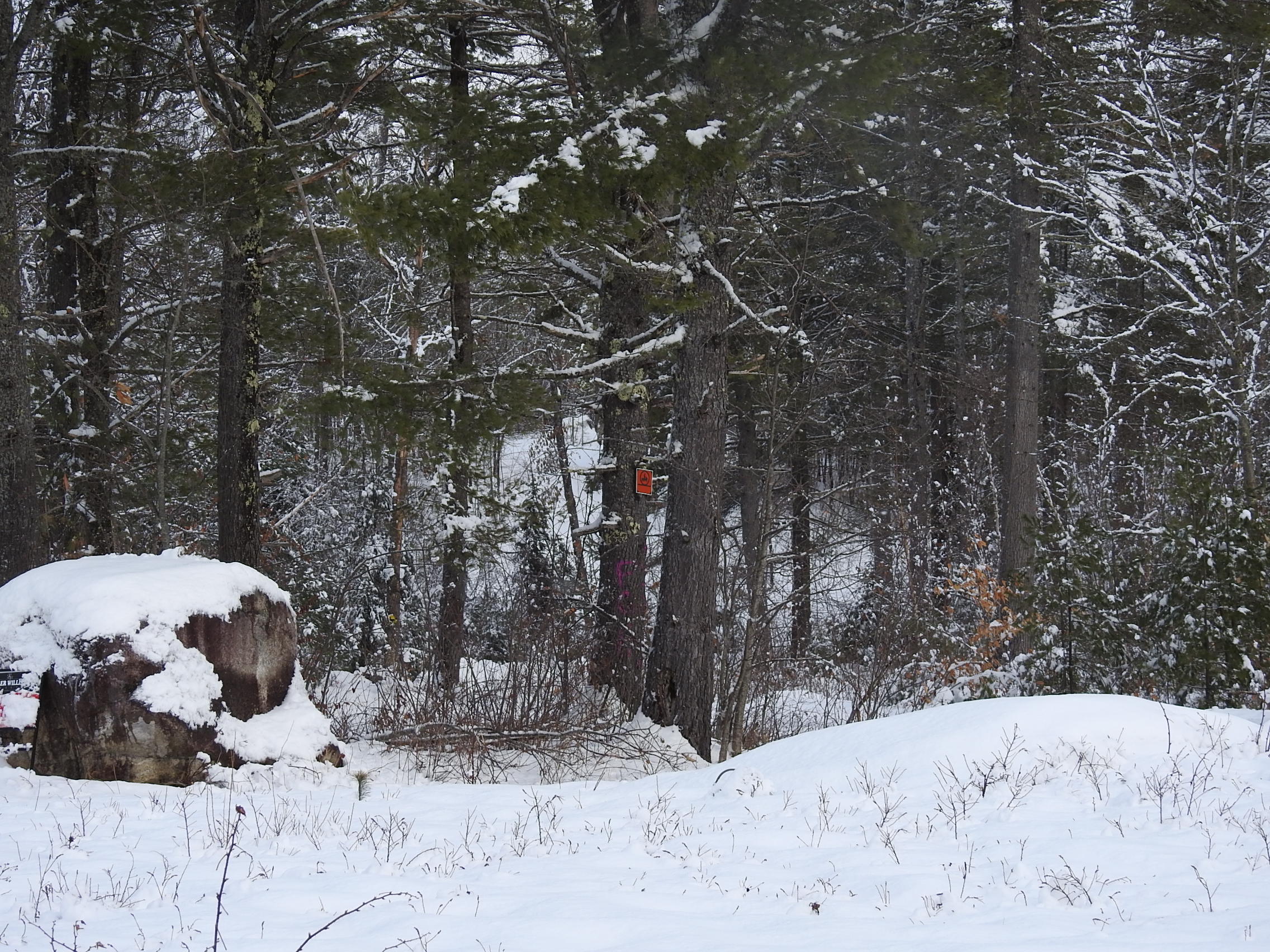 Lot #06 McIntire Road Waterford, ME 04088 - Photo 2 of 6 DSCN1730