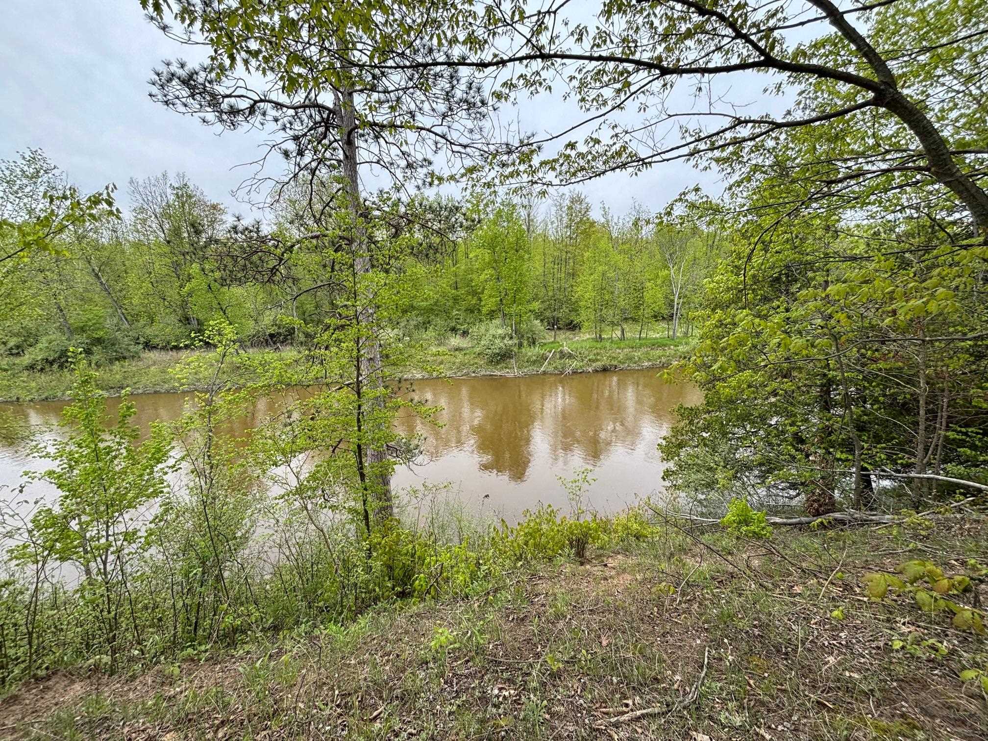 1240 Birch Ridge Road Gladwin, MI 48624 - Photo 16 of 41