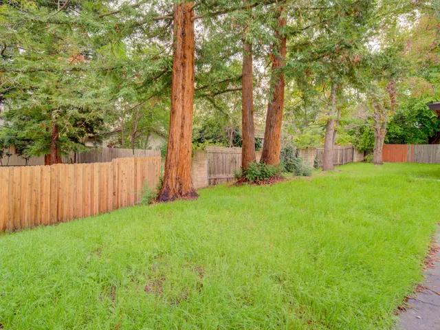a view of a backyard with large trees and wooden fence