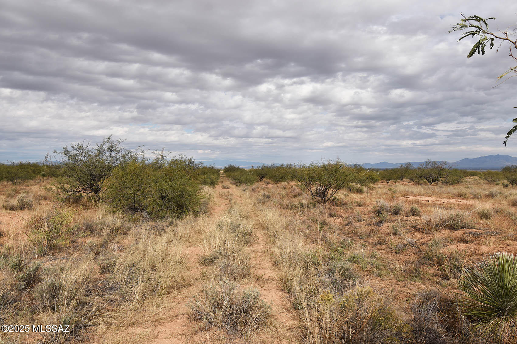 4-lots 4-lots Unnamed Road, Unit 456 Pearce, AZ 85625 - Photo 4 of 20