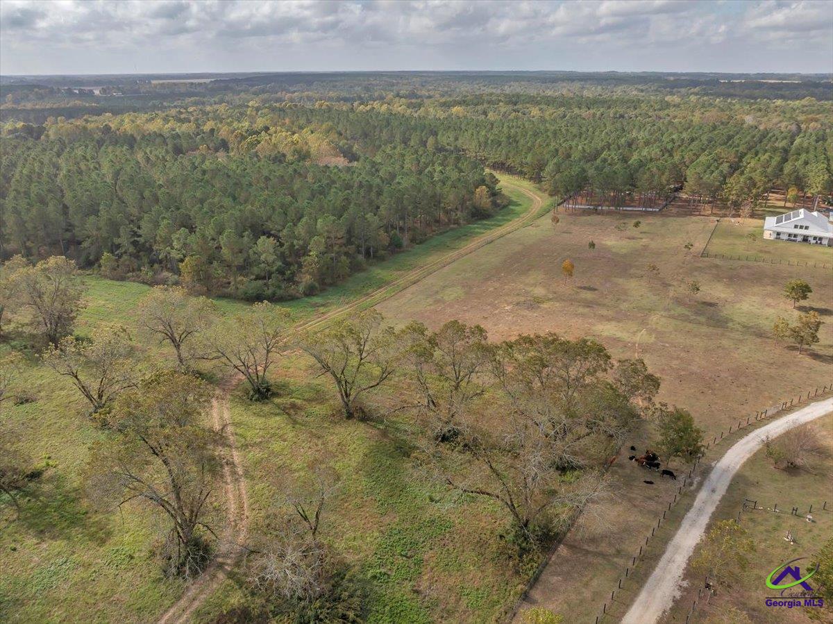 241 Henderson Springs Road Elko, GA 31025 - Photo 17 of 37 Gallery Image 17