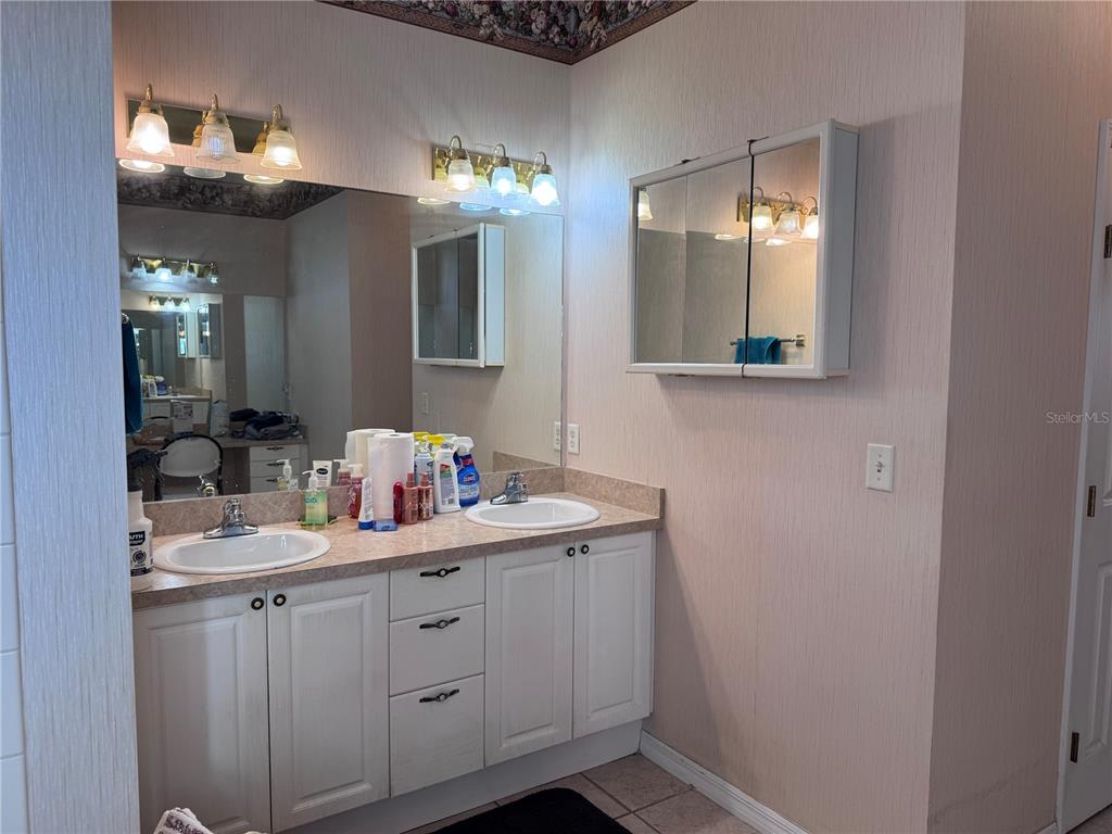 119 Hawthorne Road Auburndale, FL 33823 - Photo 15 of 26 a bathroom with a sink vanity and mirror