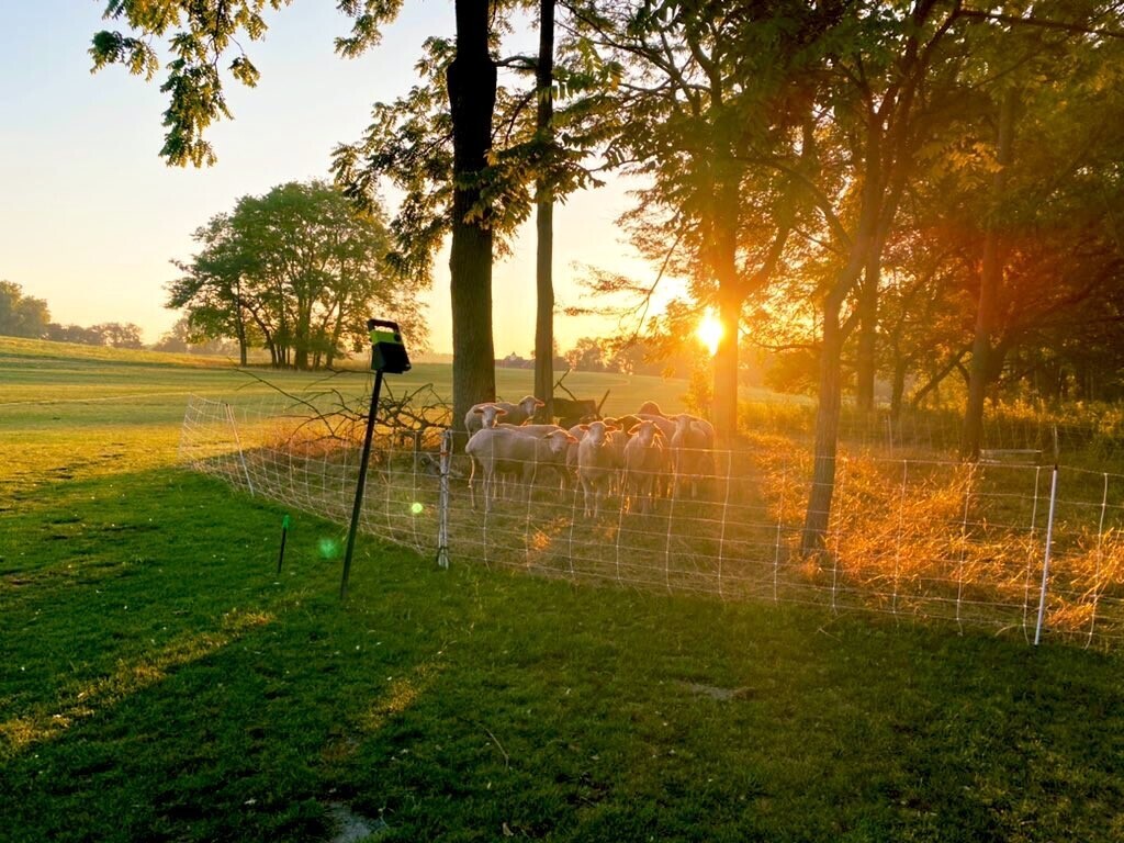 3515 North 850 W Road Yorktown, IN 47396 - Photo 17 of 72