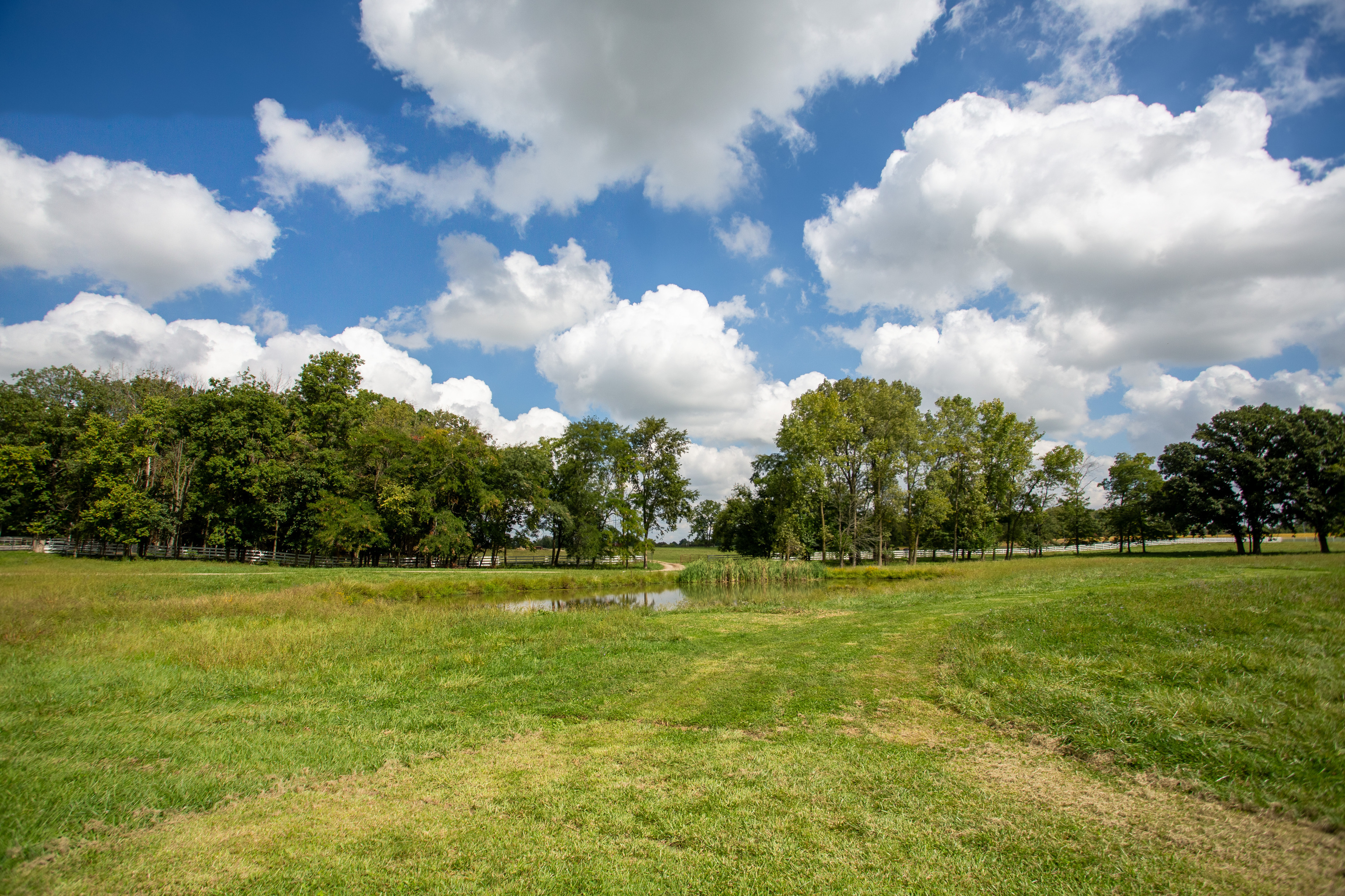 3515 North 850 W Road Yorktown, IN 47396 - Photo 44 of 72