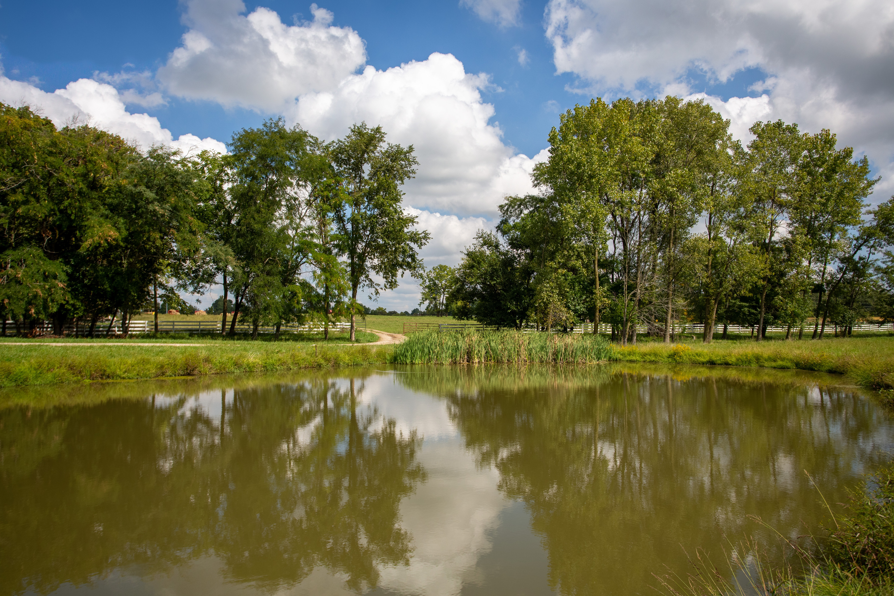 3515 North 850 W Road Yorktown, IN 47396 - Photo 45 of 72