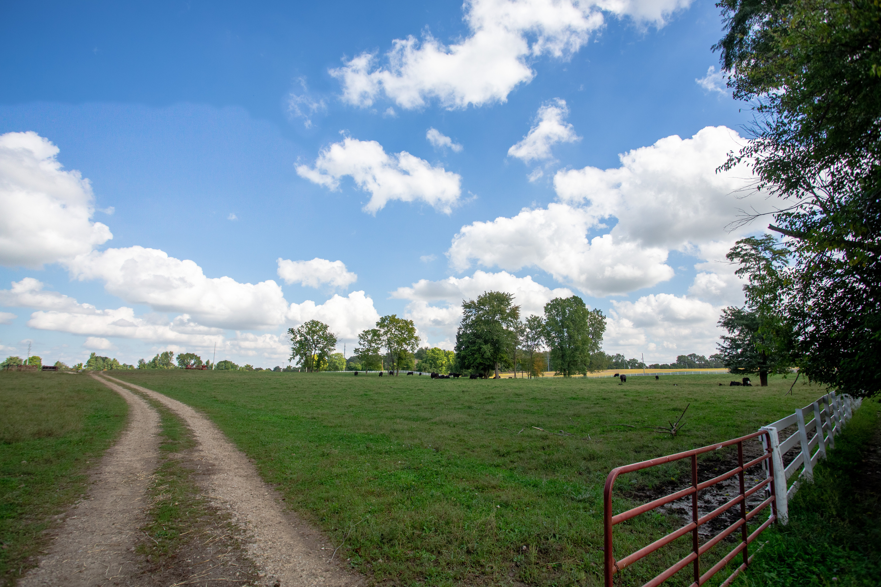 3515 North 850 W Road Yorktown, IN 47396 - Photo 46 of 72