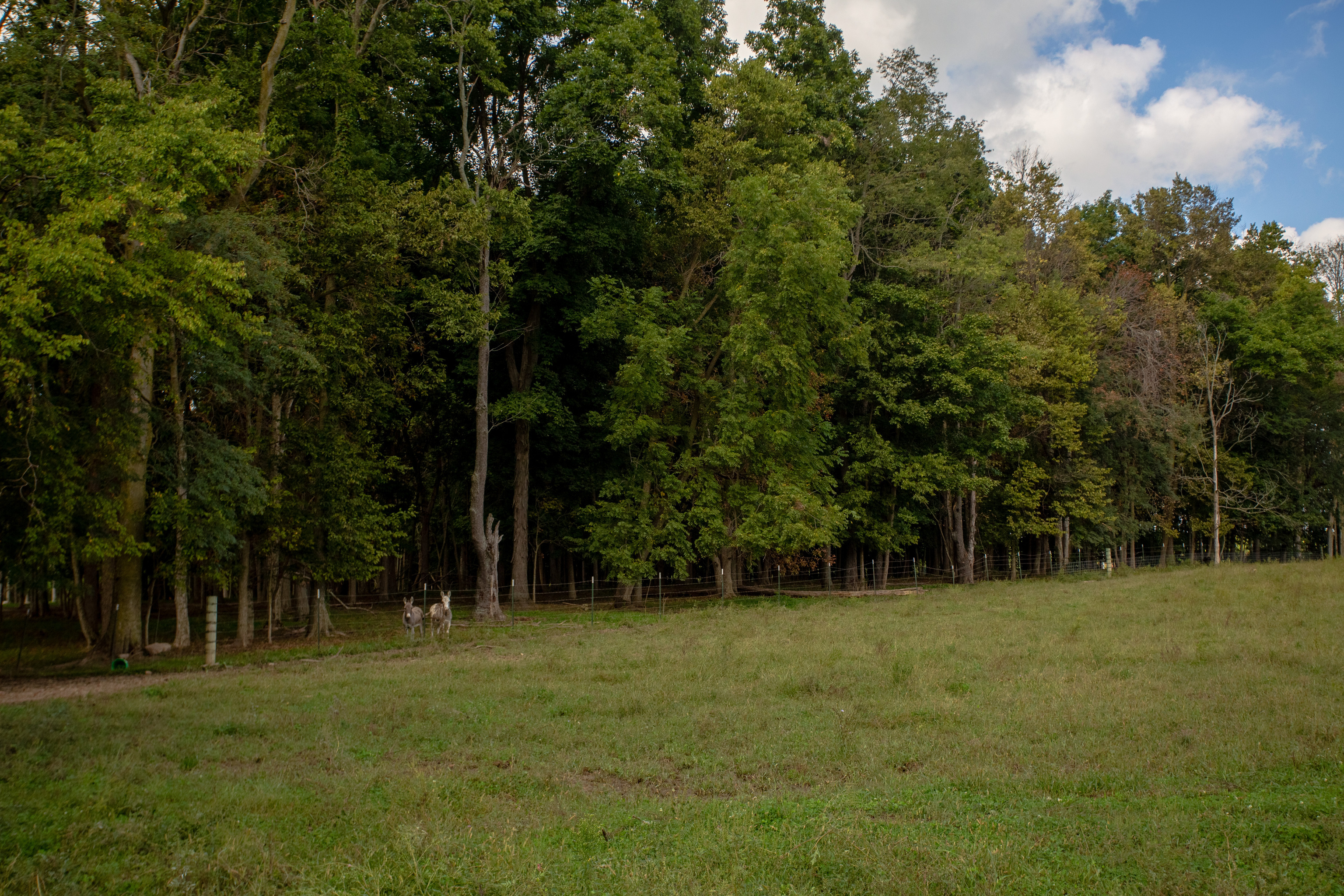 3515 North 850 W Road Yorktown, IN 47396 - Photo 47 of 72