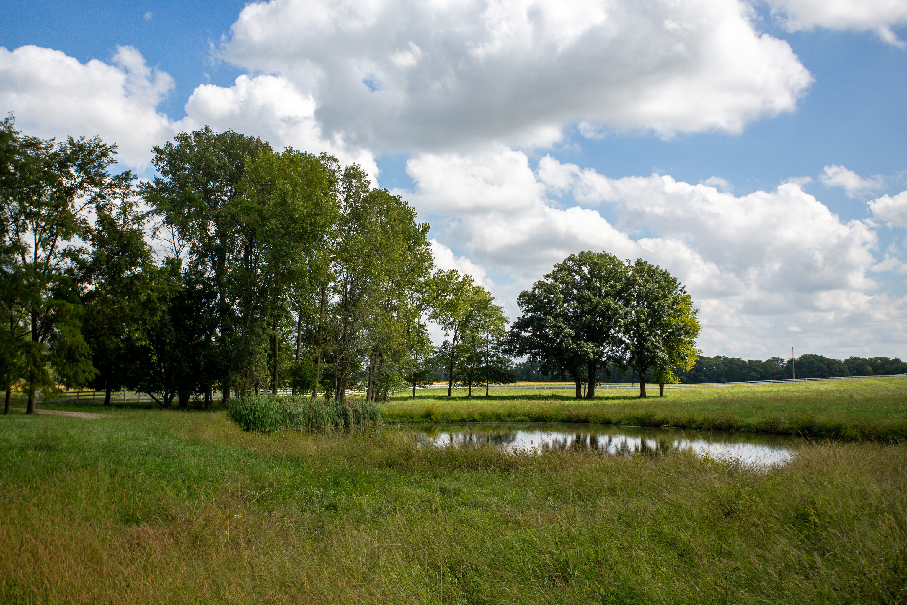 3515 North 850 W Road Yorktown, IN 47396 - Photo 48 of 72