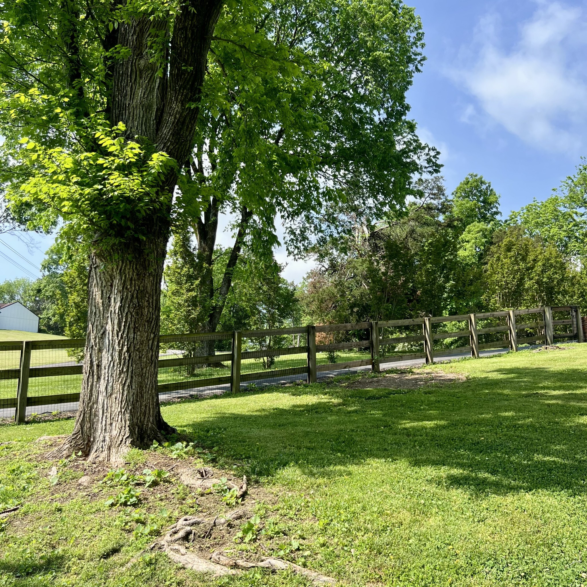 844 Hickory Ridge Trail Columbia, TN 38401 - Photo 59 of 70 Gallery Image 59