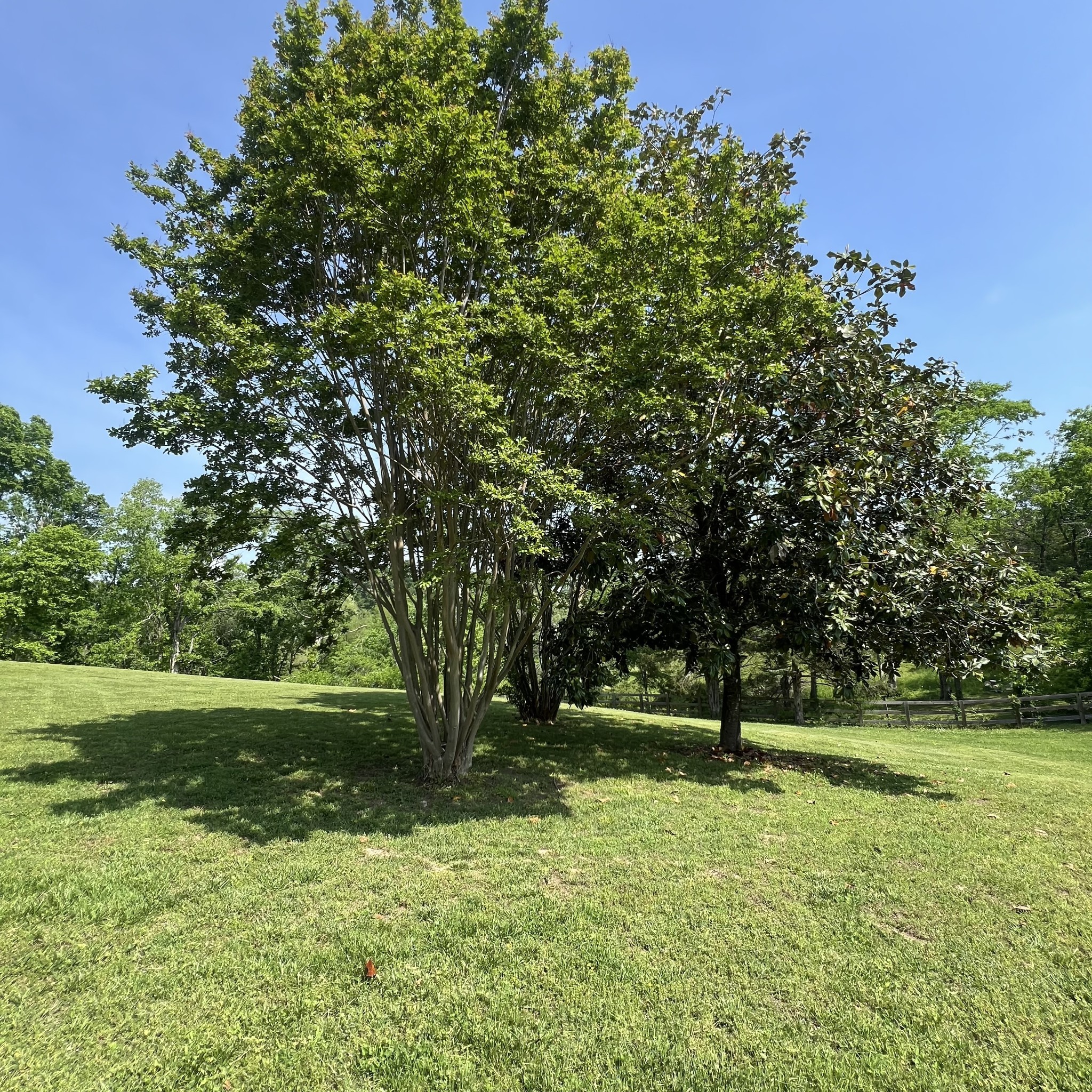 844 Hickory Ridge Trail Columbia, TN 38401 - Photo 60 of 70 Gallery Image 60