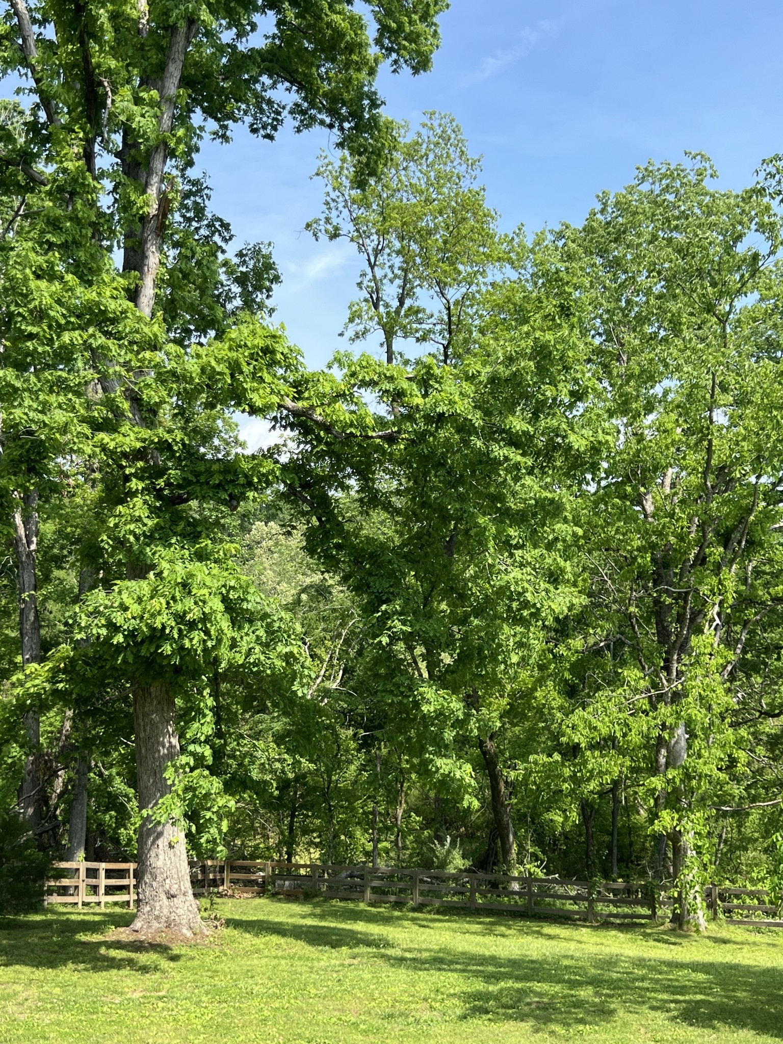 844 Hickory Ridge Trail Columbia, TN 38401 - Photo 64 of 70 Gallery Image 64