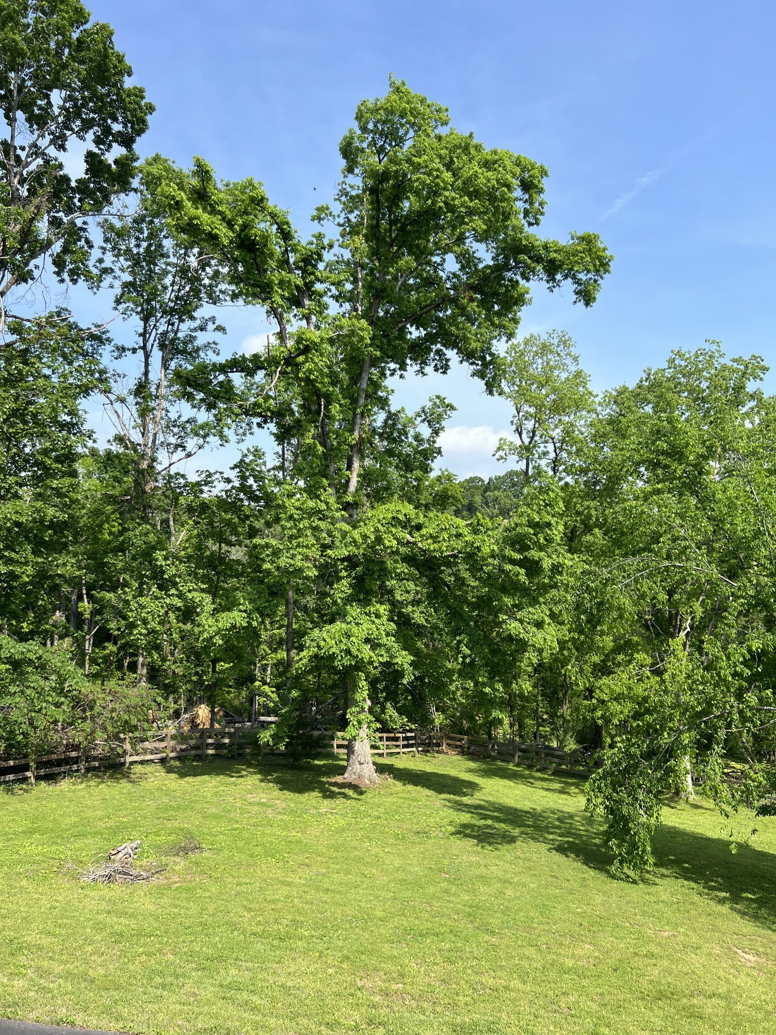 844 Hickory Ridge Trail Columbia, TN 38401 - Photo 66 of 70 Gallery Image 66