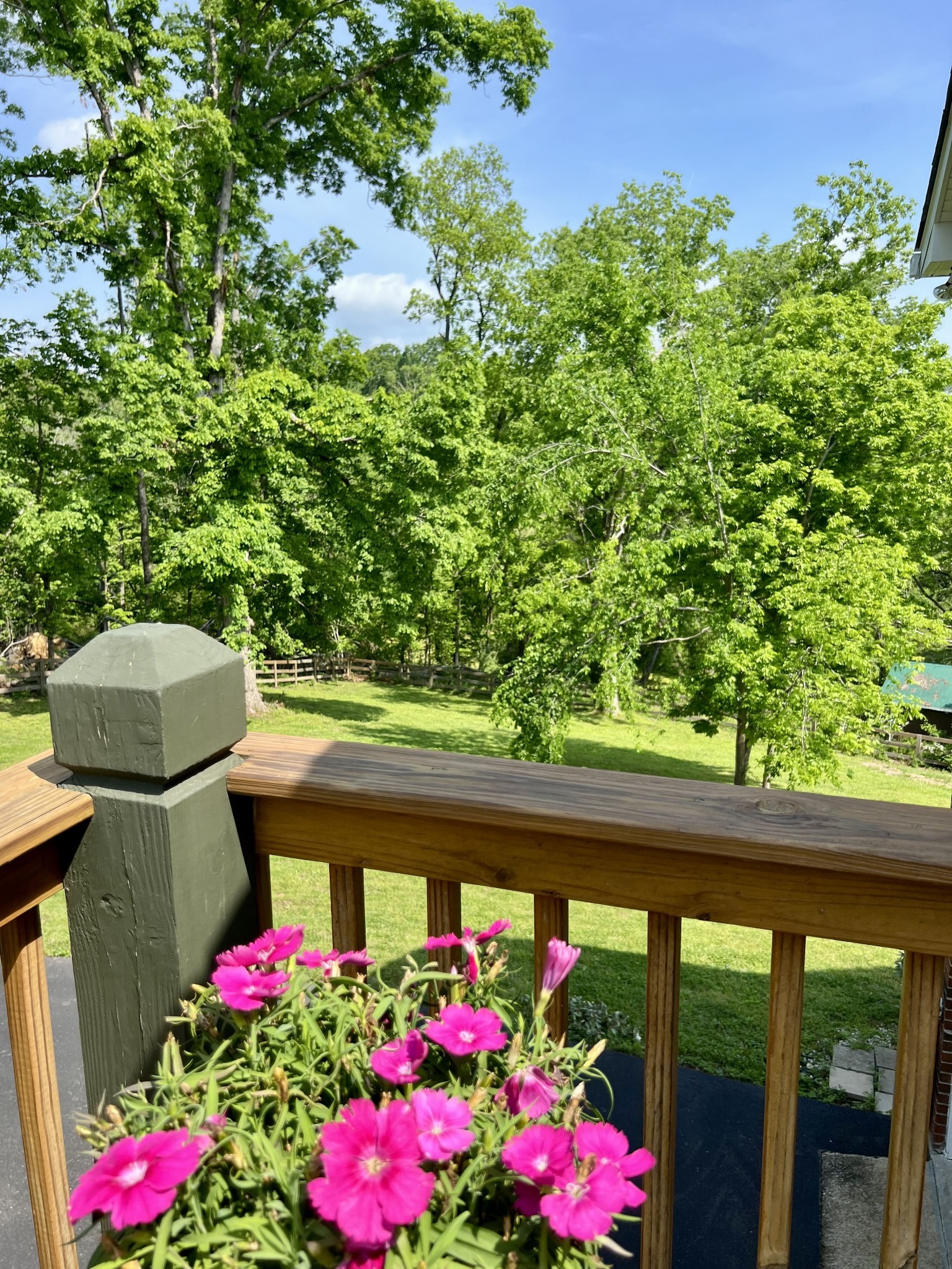 844 Hickory Ridge Trail Columbia, TN 38401 - Photo 67 of 70 Gallery Image 67