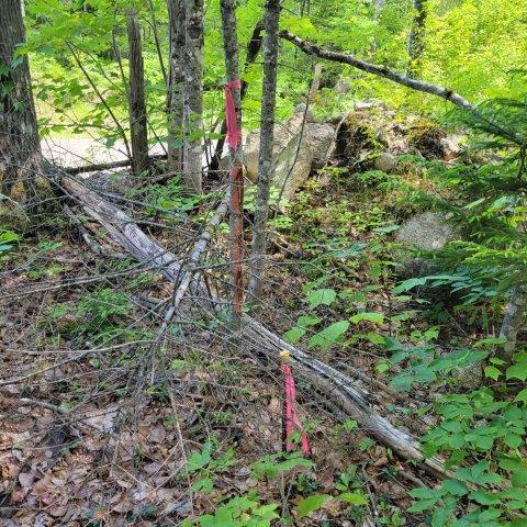 T4 Wadleigh Pond Road Millinocket, ME 04462 - Photo 37 of 38 Boundary