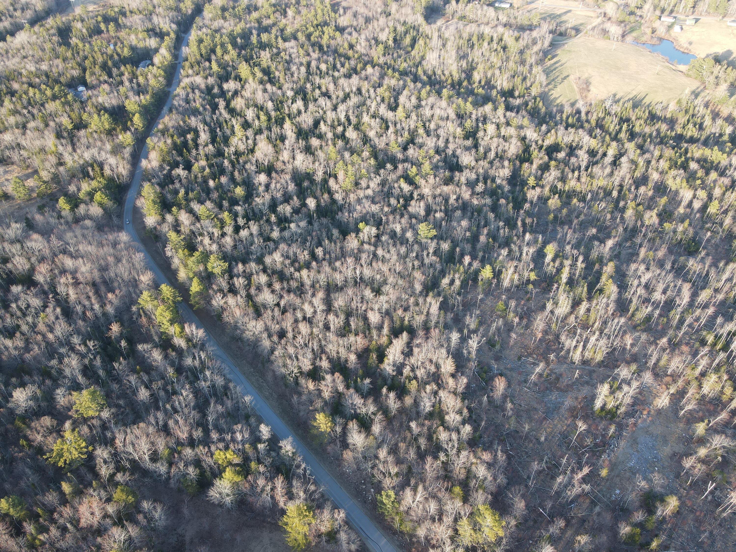 0 Old County Road Searsport, ME 04974 - Photo 2 of 21 Photo_6947271_DJI_455_jpg_8343244_0_2021