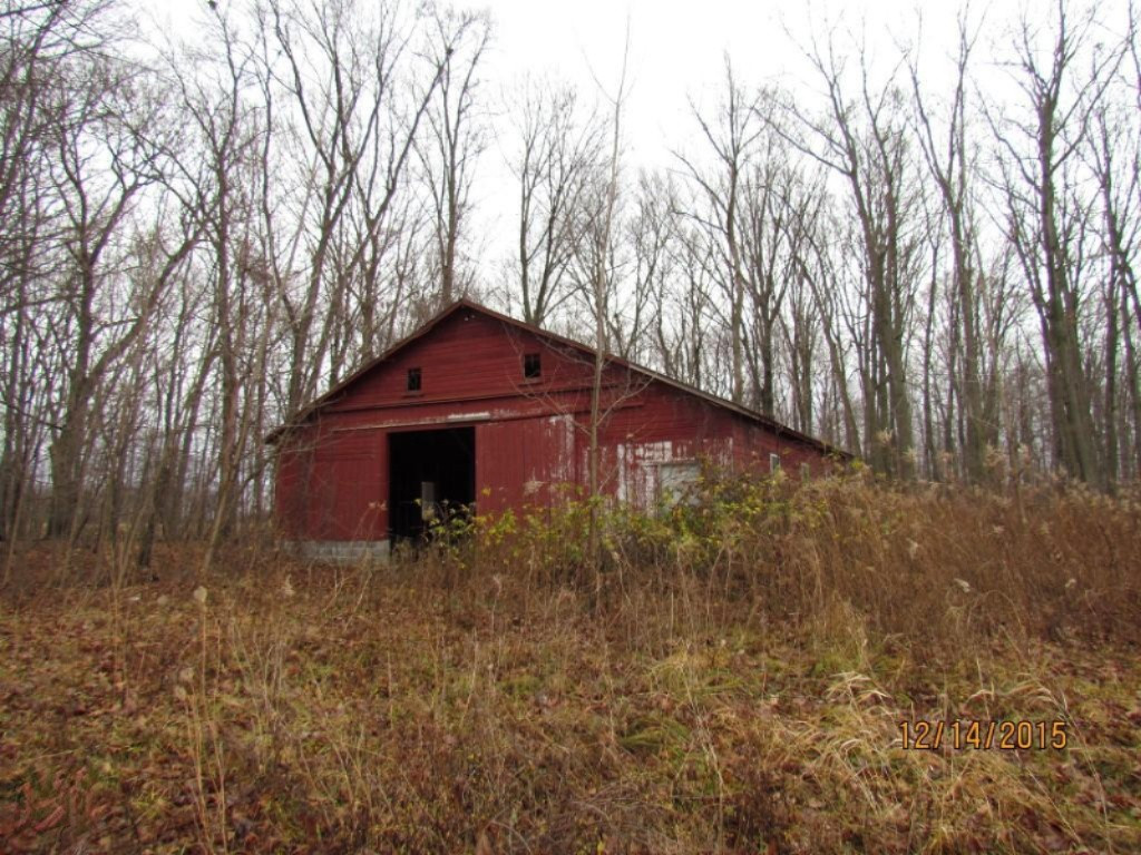 7966 Kruger Road Three Oaks, MI 49128 - Photo 6 of 22 IMG_5546 (Medium)