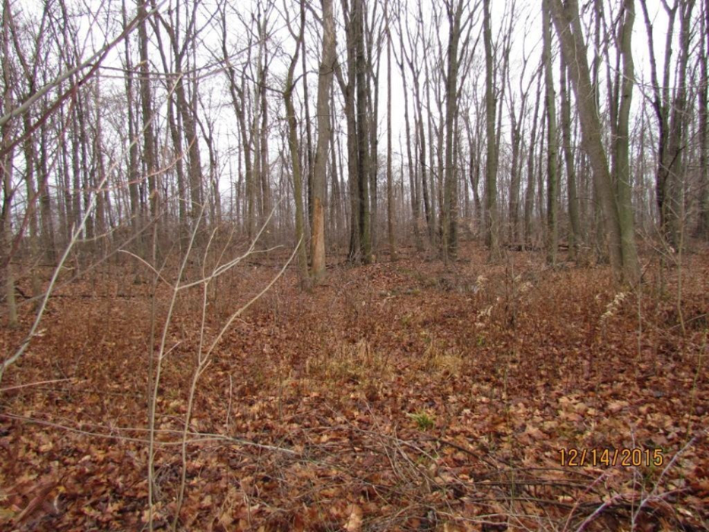 7966 Kruger Road Three Oaks, MI 49128 - Photo 7 of 22 IMG_5542 (Medium)