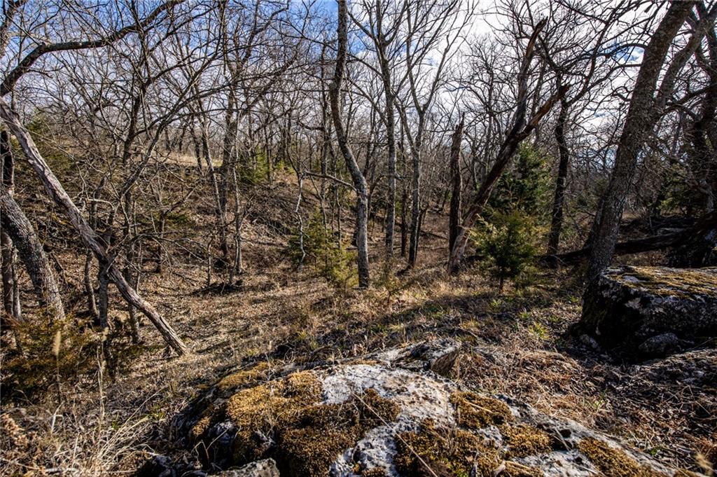 0 Zinc Road Mapleton, KS 66754 - Photo 23 of 46