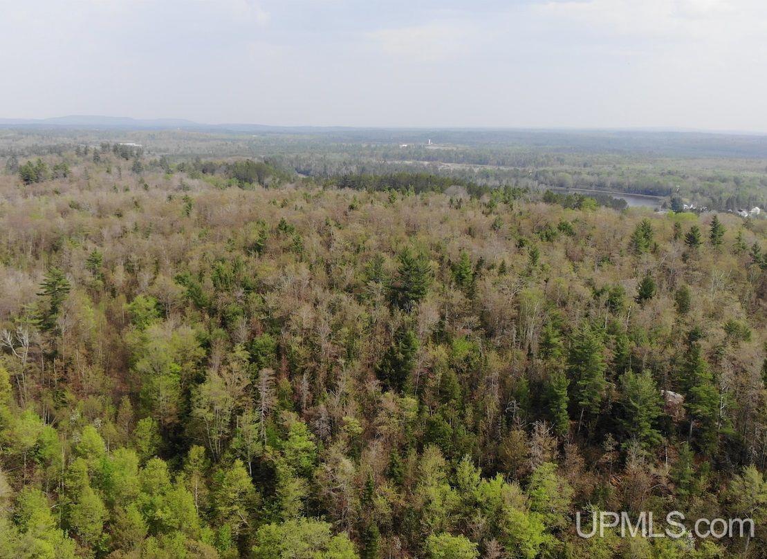 Tbd 100-ac Tbd 100-ac Co Road Ishpeming, MI 49849 - Photo 3 of 28