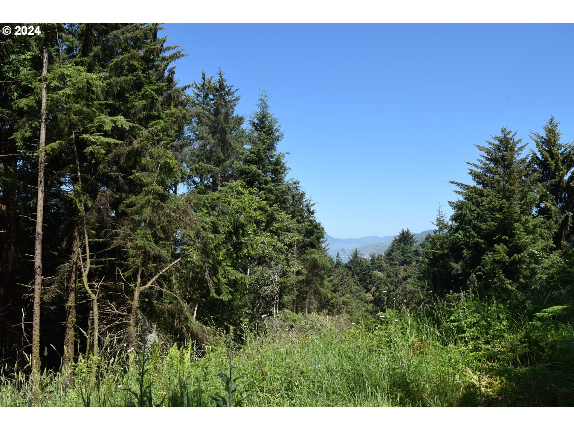 0 Horizon Drive Gold Beach, OR 97444 - Photo 3 of 12