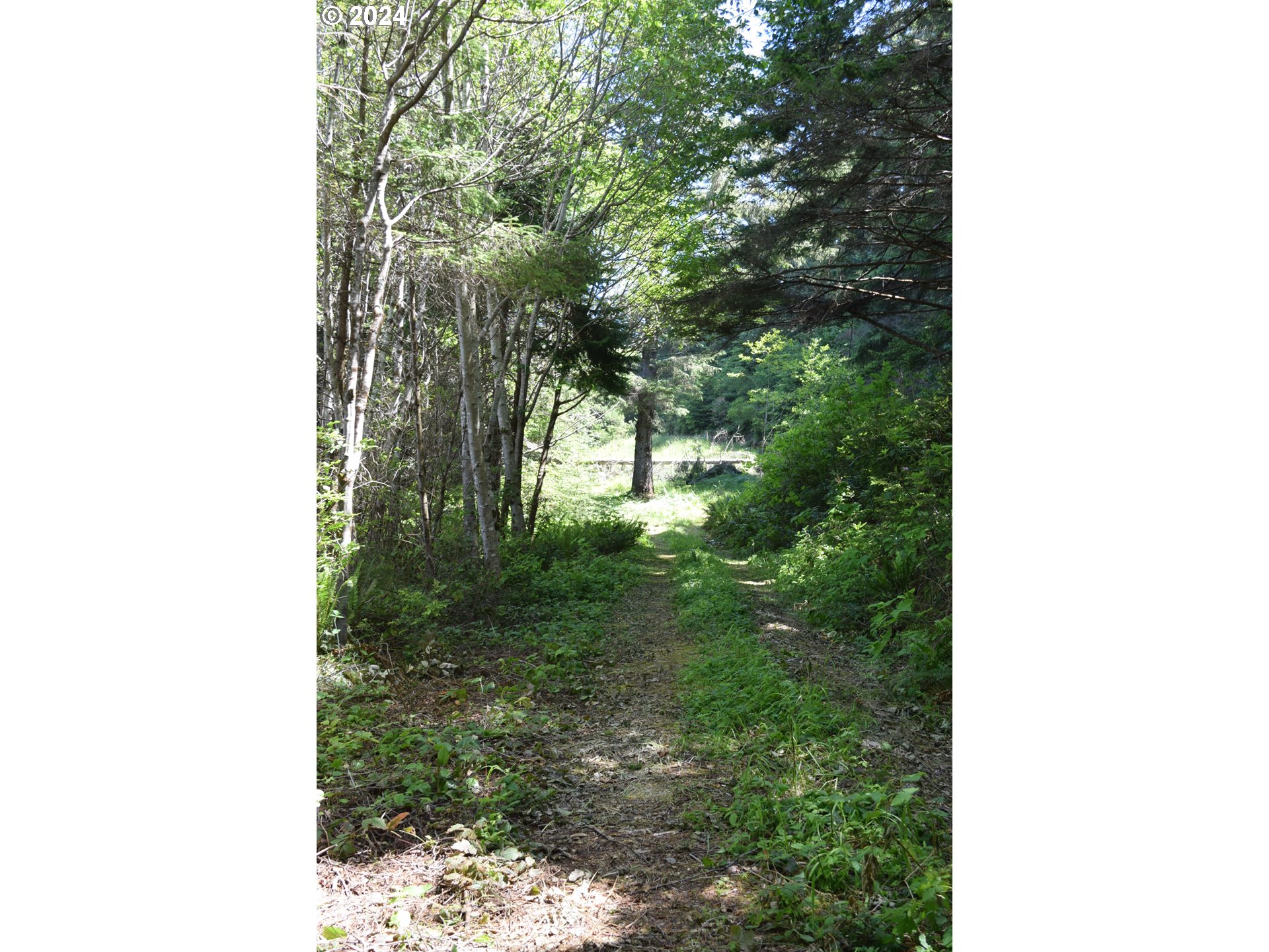 0 Horizon Drive Gold Beach, OR 97444 - Photo 4 of 12