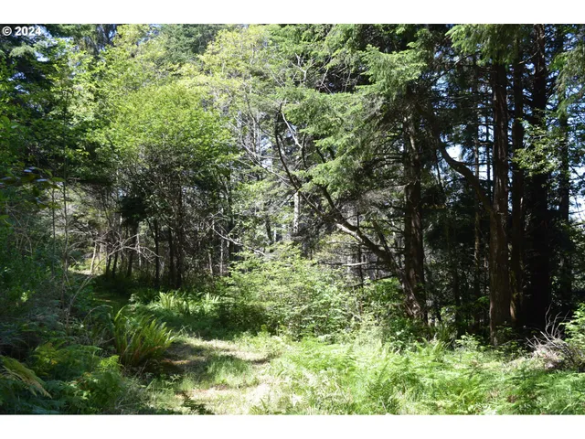 $275,000 | 0 Horizon Drive, Gold Beach, OR 97444