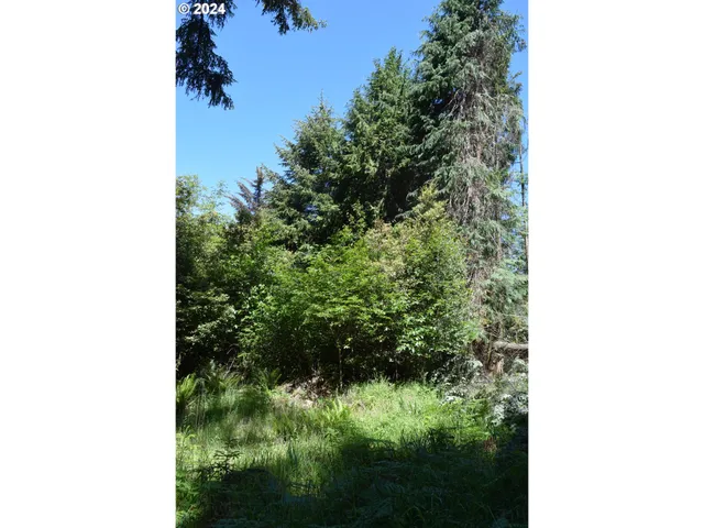 $275,000 | 0 Horizon Drive, Gold Beach, OR 97444