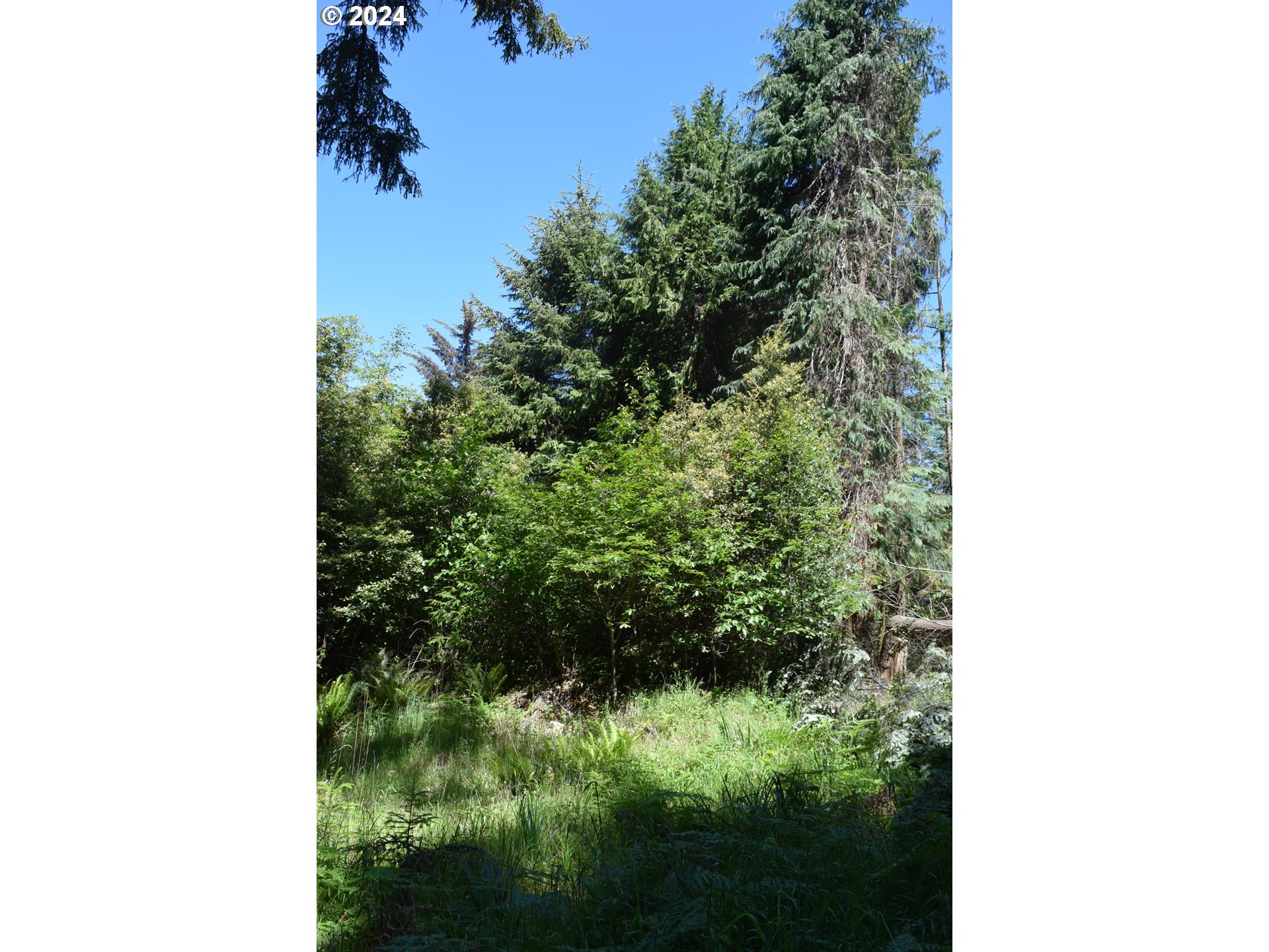 0 Horizon Drive Gold Beach, OR 97444 - Photo 6 of 12