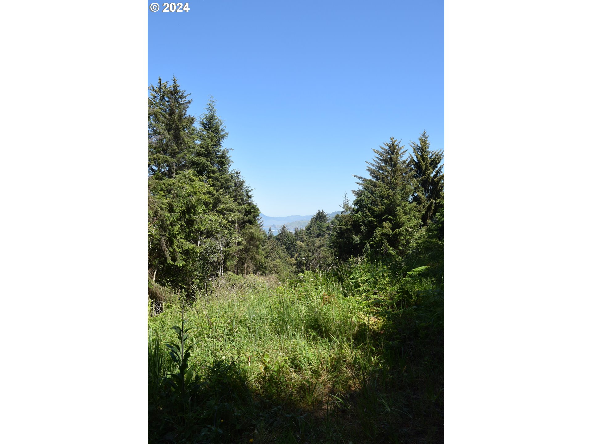 0 Horizon Drive Gold Beach, OR 97444 - Photo 7 of 12