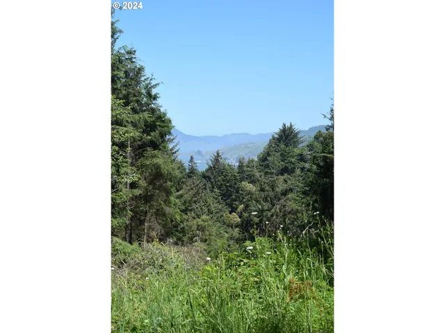 $275,000 | 0 Horizon Drive, Gold Beach, OR 97444