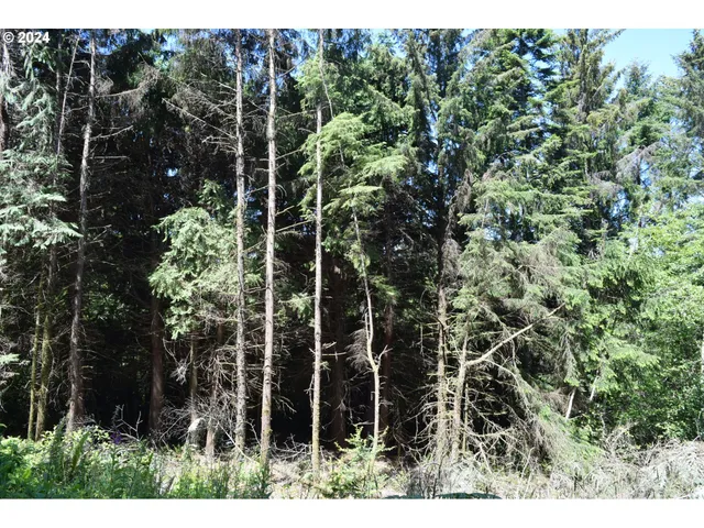 $275,000 | 0 Horizon Drive, Gold Beach, OR 97444