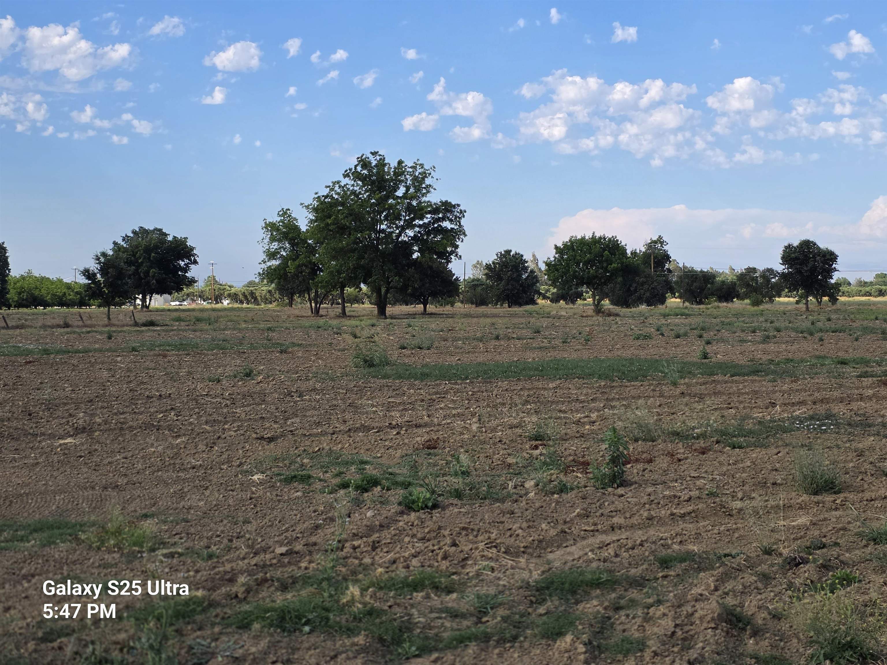 0 Hwy 99 W, Unit INTERSTATE 5 Corning, CA 96021 - Photo 2 of 10