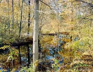 Par Par Peppermill Road Lapeer, MI 48446 - Photo 1 of 1 Listing Image