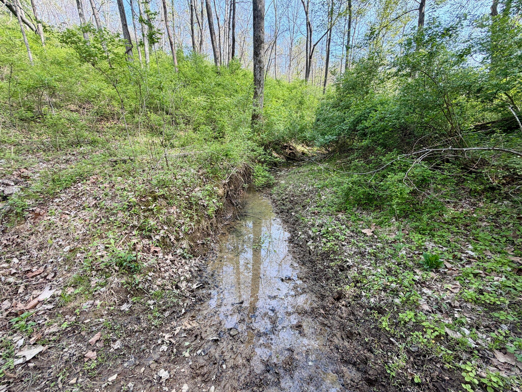 24 East Union Road Carlisle, KY 40311 - Photo 37 of 52 creek