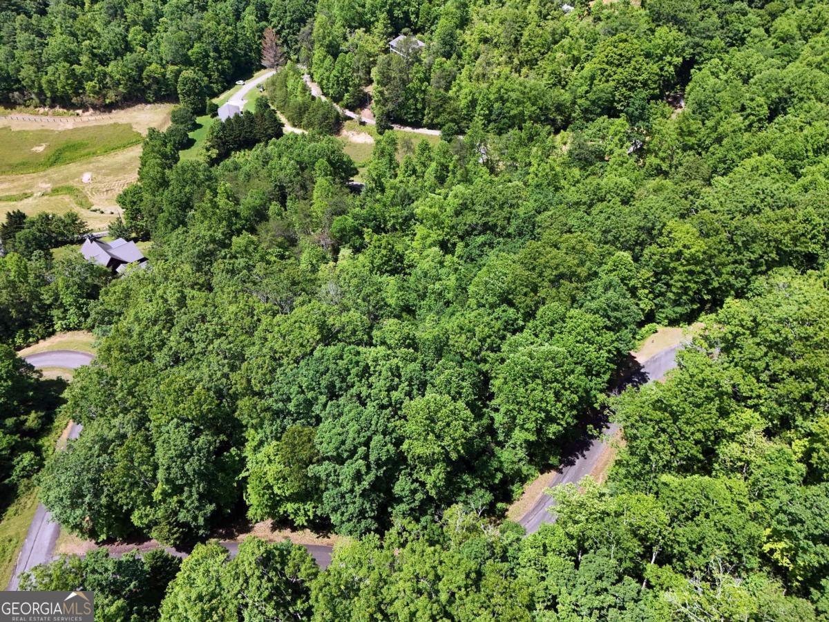 Lot 12 Hightower Ridge Hiawassee, GA 30546 - Photo 13 of 23