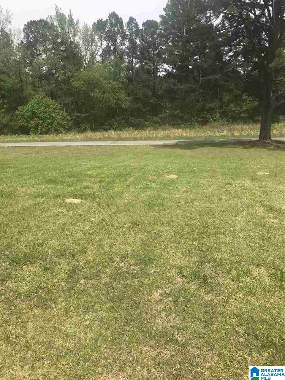 136 Valley View Drive Oneonta, AL 35121 - Photo 31 of 33