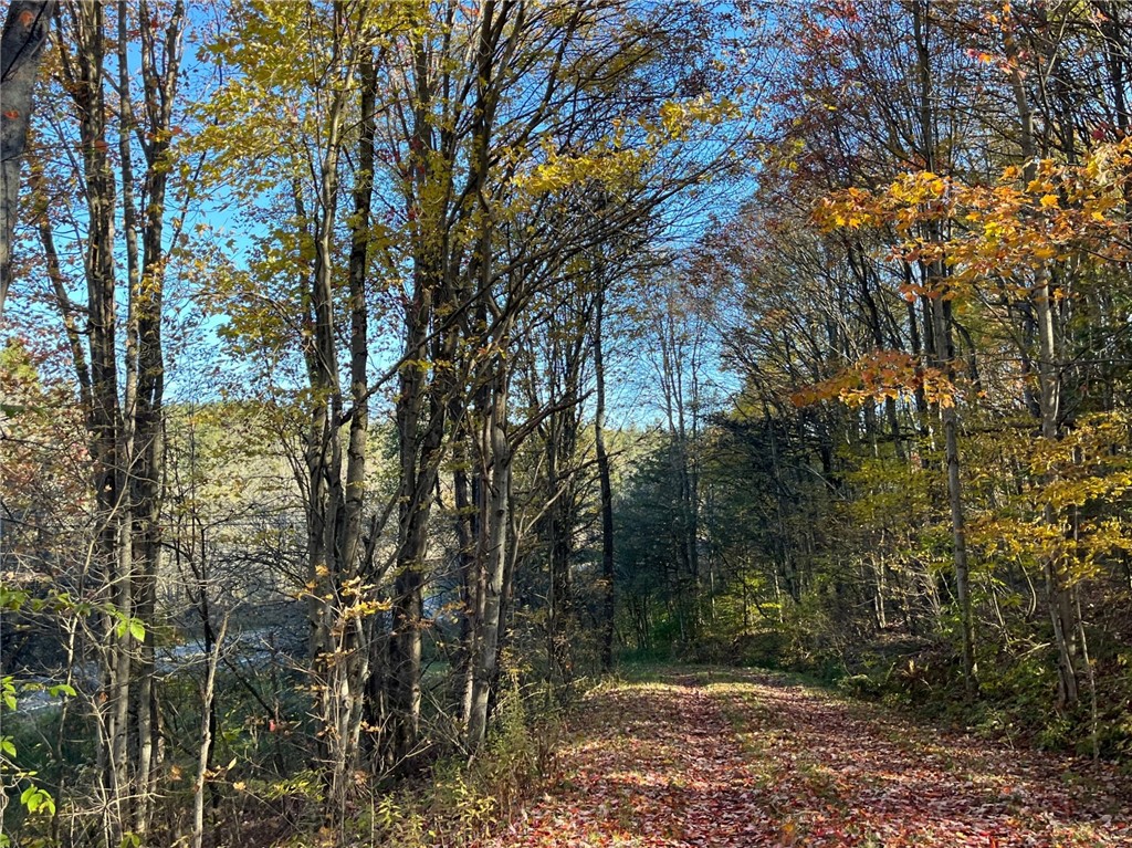 98 Nys Route Franklinville, NY 14737 - Photo 36 of 49 Gallery Image 36