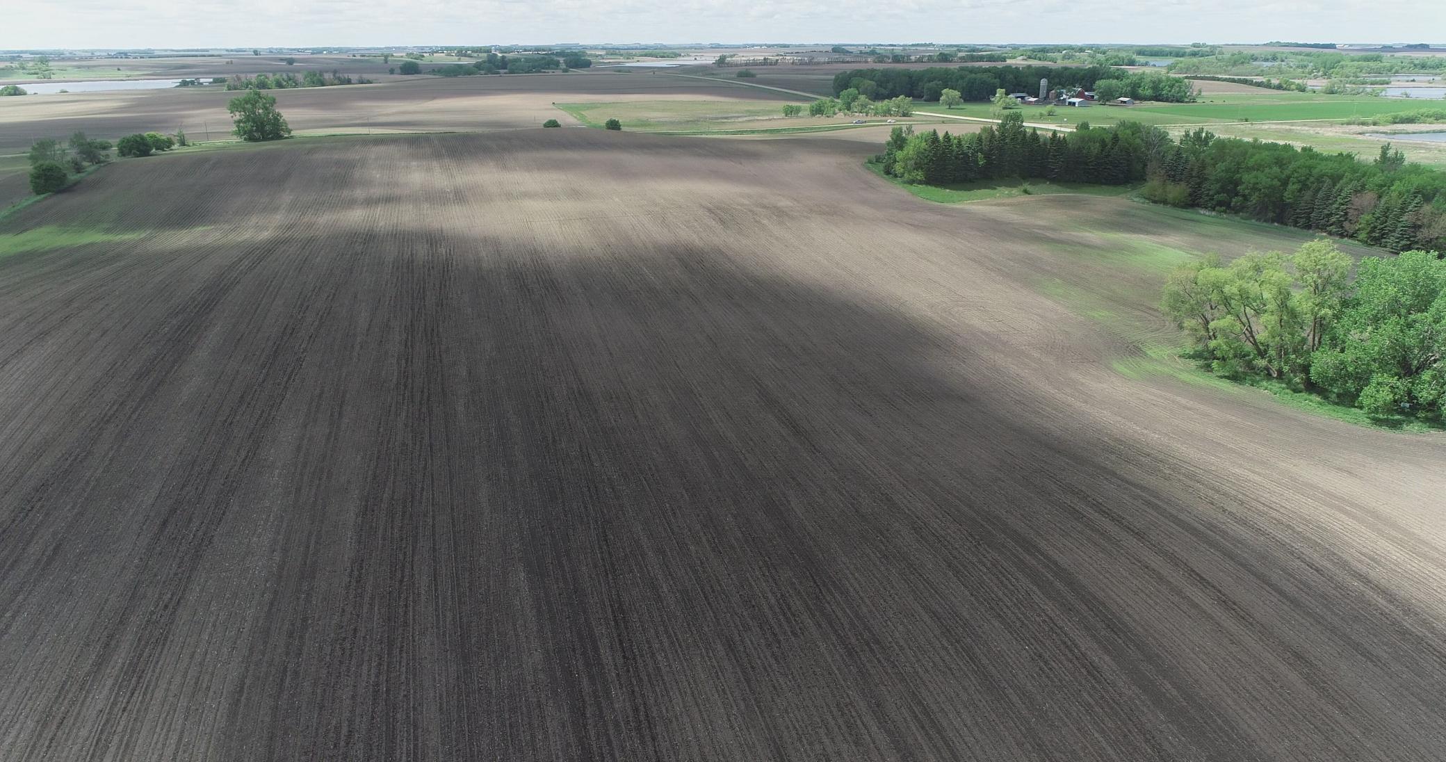 Xxx Xxx 151st Street Currie, MN 56123 - Photo 2 of 11