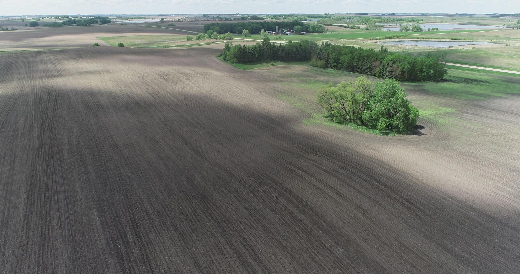 Xxx Xxx 151st Street Currie, MN 56123 - Photo 3 of 11