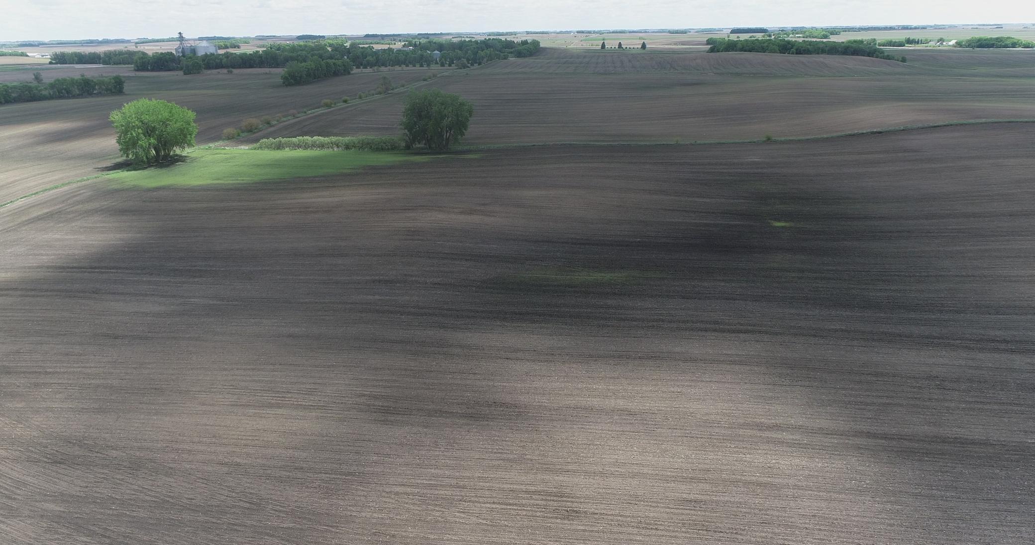 Xxx Xxx 151st Street Currie, MN 56123 - Photo 4 of 11