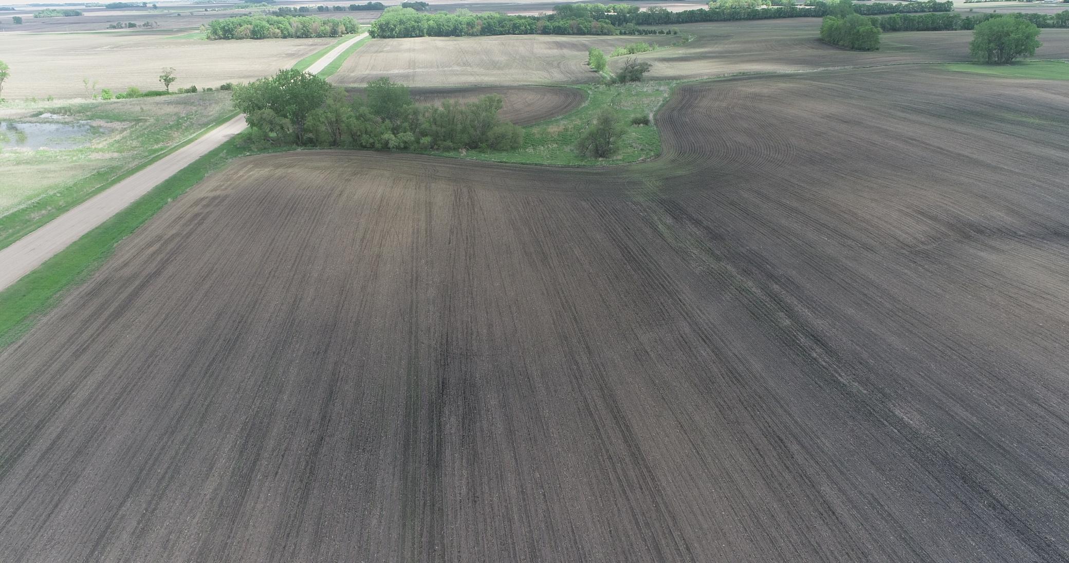 Xxx Xxx 151st Street Currie, MN 56123 - Photo 5 of 11