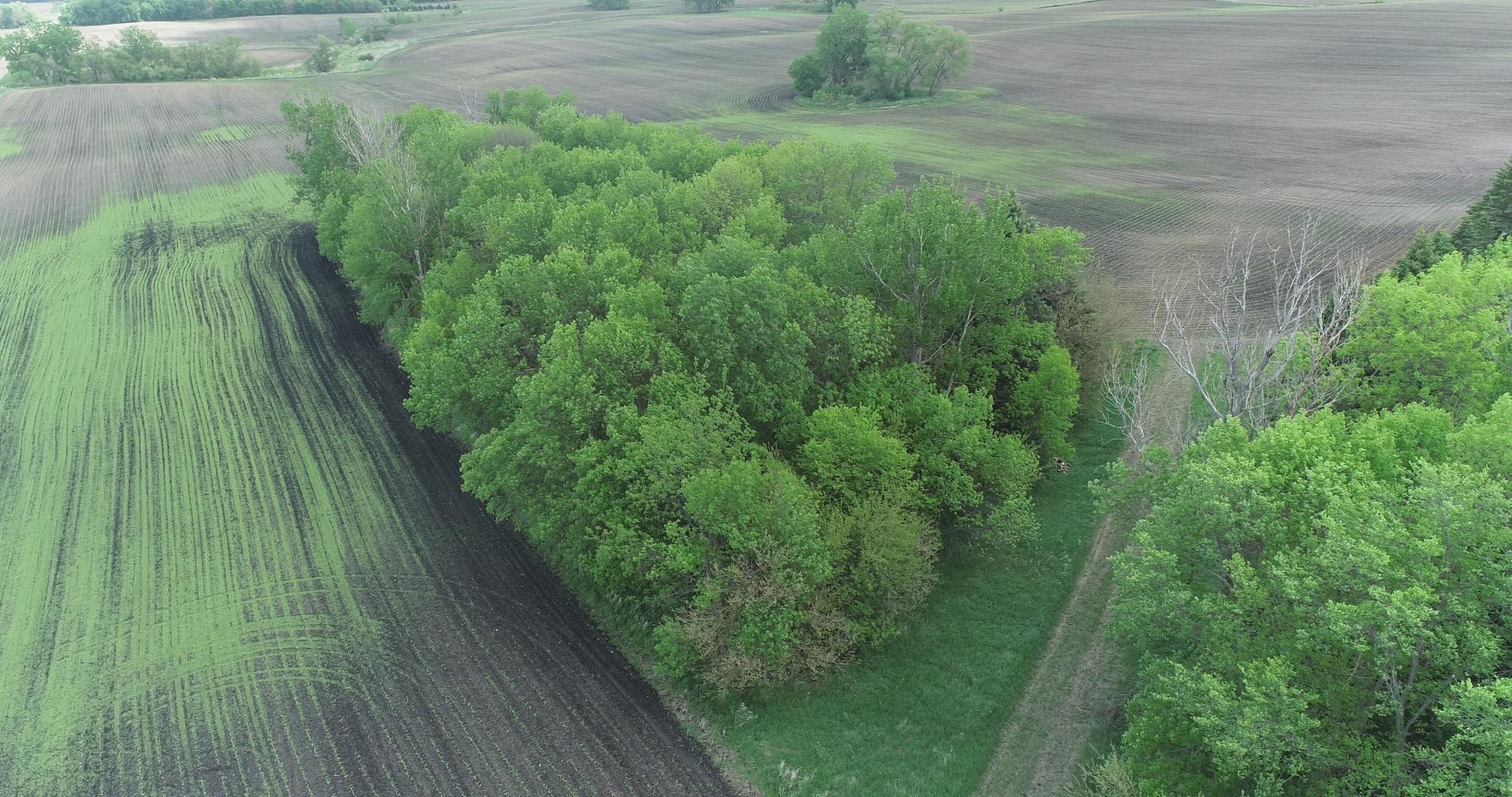 Xxx Xxx 151st Street Currie, MN 56123 - Photo 6 of 11