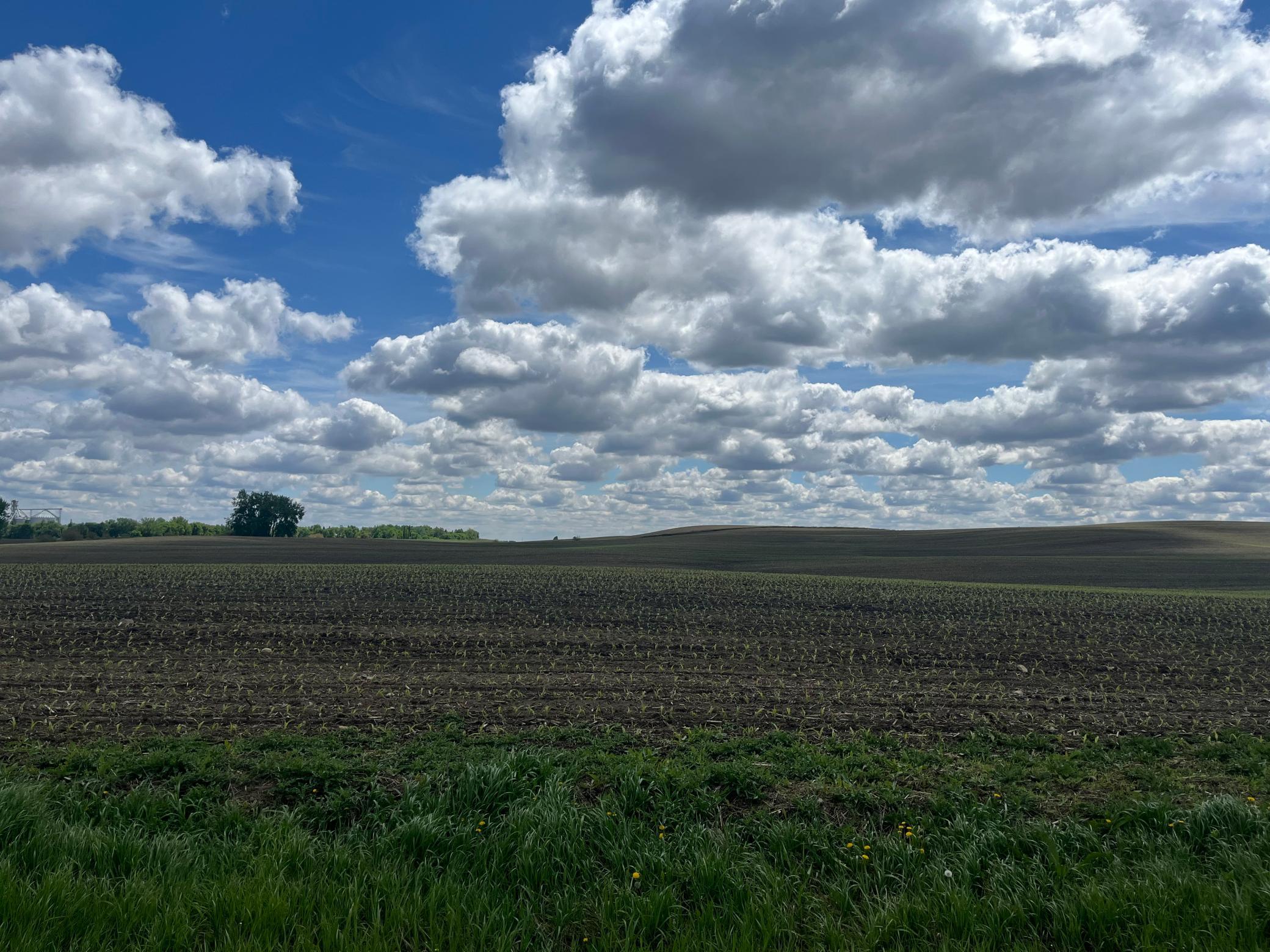 Xxx Xxx 151st Street Currie, MN 56123 - Photo 7 of 11