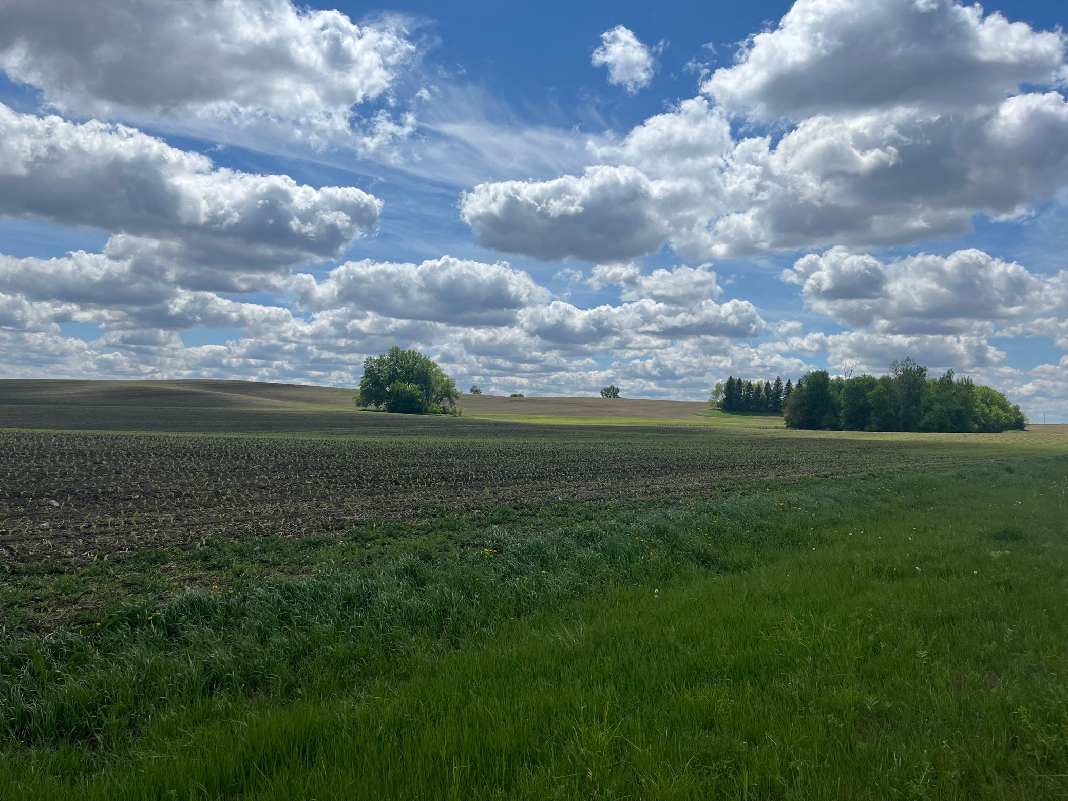 Xxx Xxx 151st Street Currie, MN 56123 - Photo 10 of 11