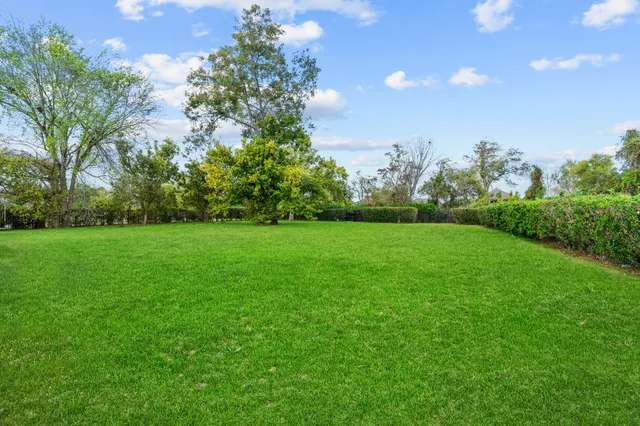 a view of a green field