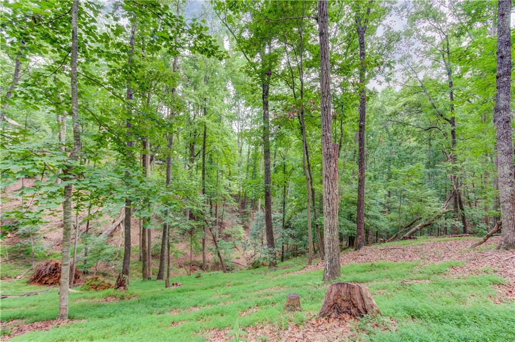 2525 Thompson Mill Road Gainesville, GA 30506 - Photo 51 of 55